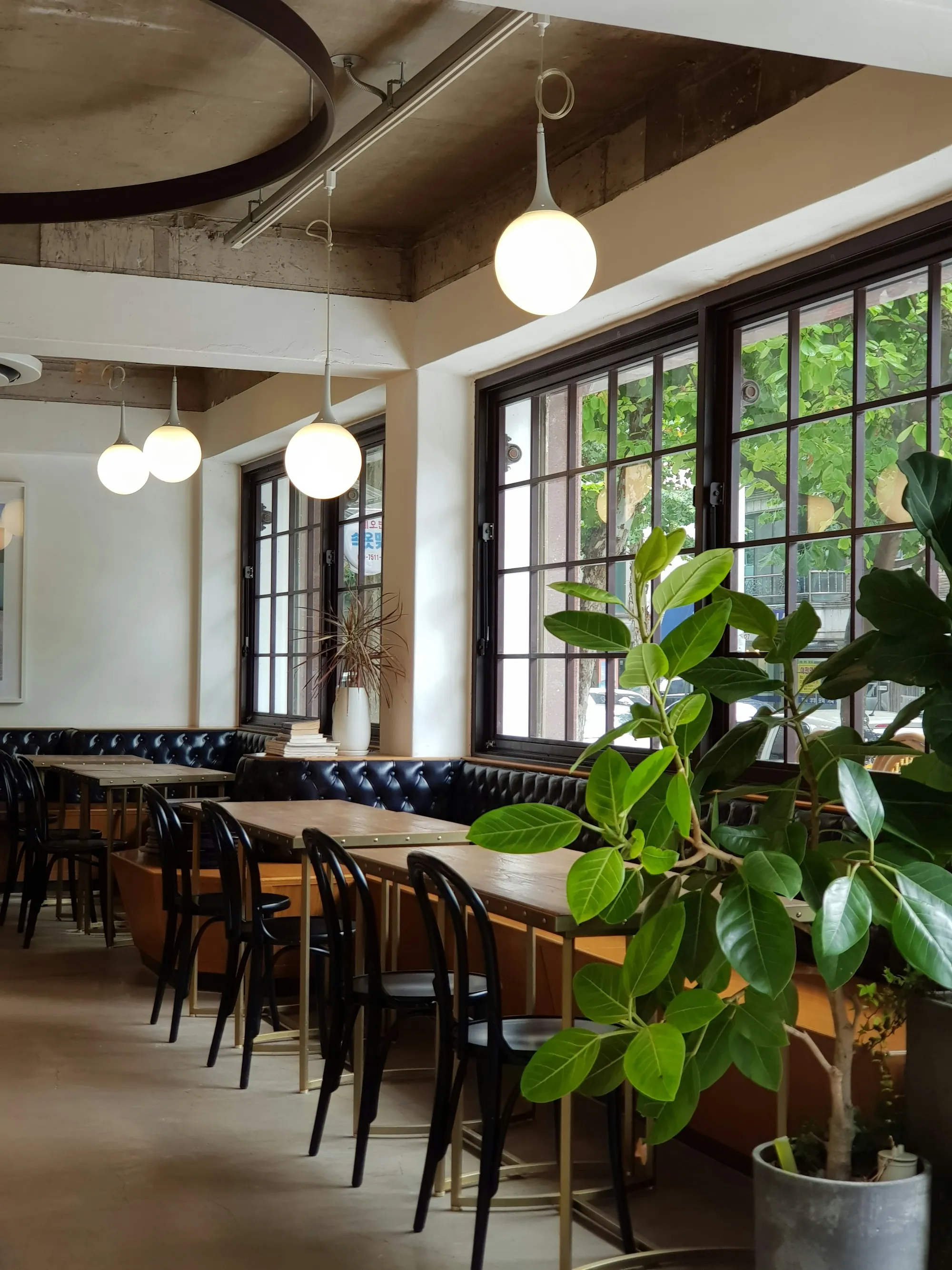 Büyük pencerelerden ışık alan, ahşap masalı ve bitkili sade bir kafe salonu